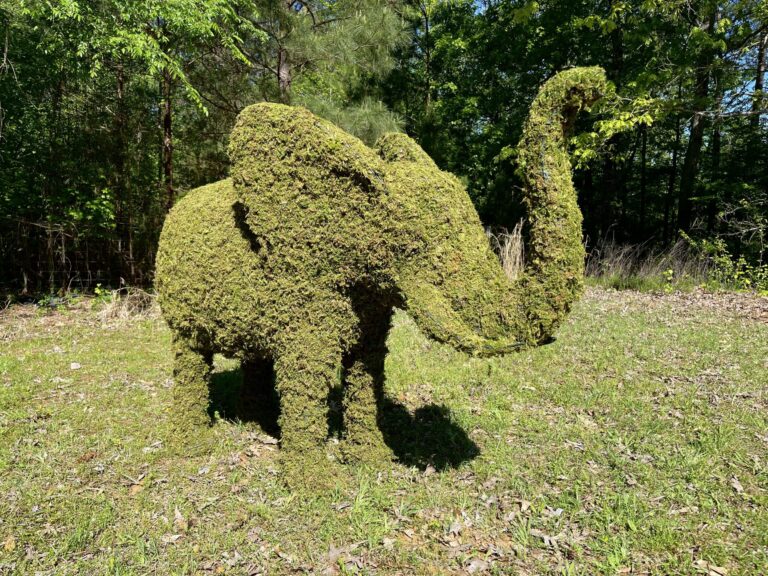 Moss-covered elephant topiary seen from the front, tusks visible, in a sunny grass clearing.
