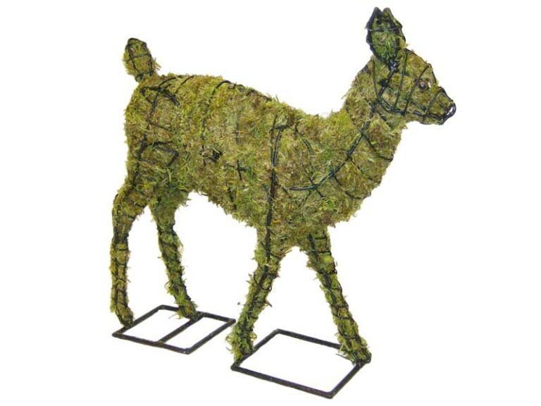 Have You Considered Topiary Gardening?