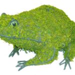 Mossed frog topiary shown in a low sitting pose on a white background
