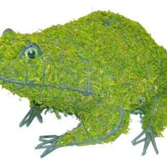Frog, 6 inch (Mossed) 6 inch x 13 inch x 10 inch | TOPIARYTREE.NET