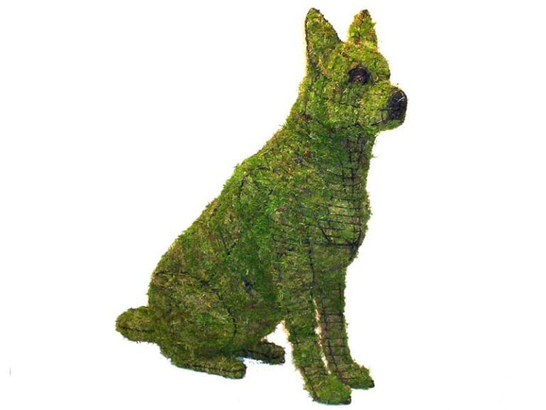 BACHO Topiary – About & FAQs
