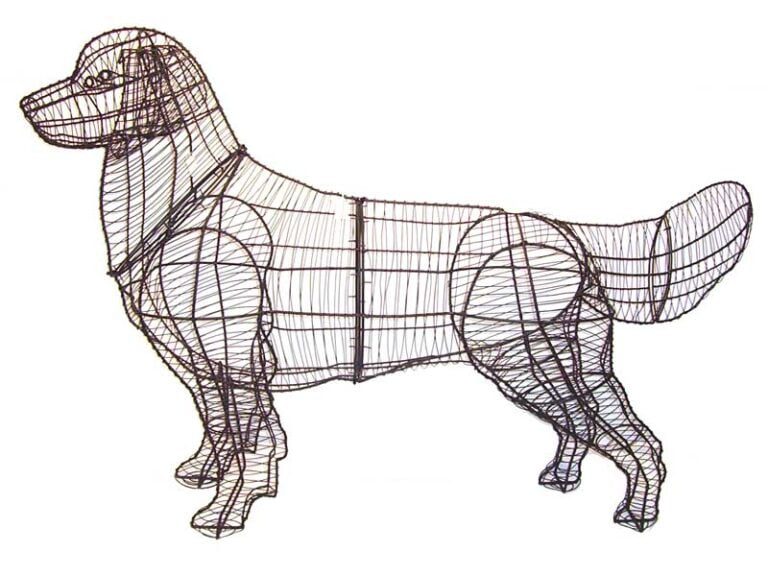 BACHO Topiary – About & FAQs