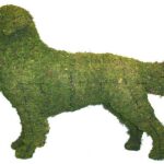 Moss-covered golden retriever topiary in full stride, shown in profile on a white background.