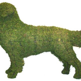Golden Retriever, 31 inch (Mossed) 31 inch x 44 inch x 11 inch | TOPIARYTREE.NET