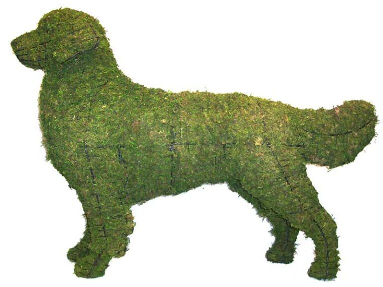 Topiary for Every LifeStyle