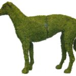 Moss-covered greyhound topiary in standing side profile