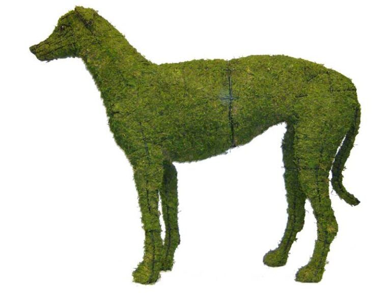 How We Cover Topiaries in Boxwood Foliage