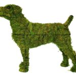 Moss-covered Jack Russell terrier topiary, alert stance, side profile