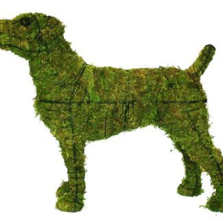Jack Russell, 14 inch (Mossed) 14 inch x 22 inch x 7 inch | TOPIARYTREE.NET