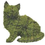Green moss-covered kitten topiary in a seated pose, on a white background