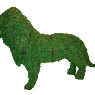 Lion, 25 inch  (Mossed) 25 inch  x 37 inch  x 12 inch
