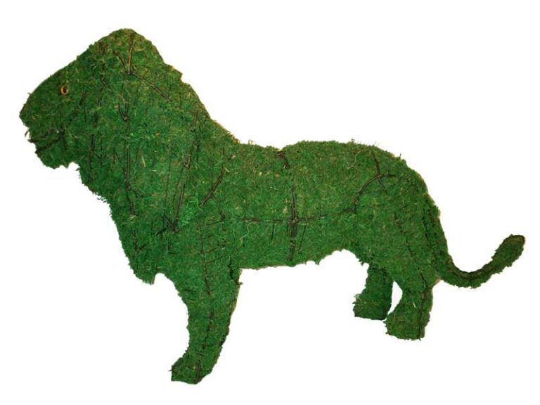 Standing lion topiary packed with green moss over a wire frame, with a mane, tufted tail and yellow eye