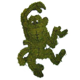 Funky Monkey Moss Topiary 33 x 21 x 9x 21 inch x 9 inch | TOPIARYTREE.NET