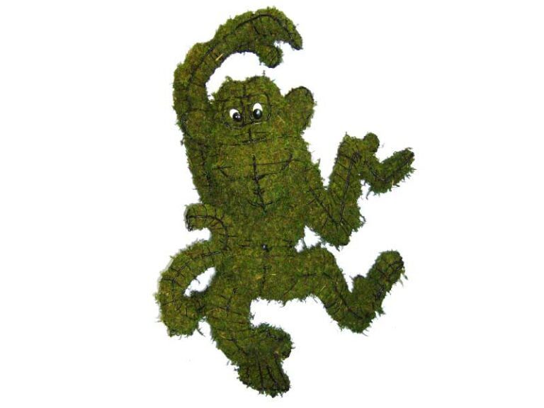 The Preservation Process: How Natural Boxwood is Transformed into Long-Lasting Topiary Balls