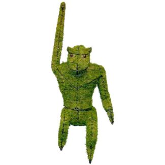 Monkey Hanging, 14 inch (Mossed) 14 inch x 6 inch x 7 inch | TOPIARYTREE.NET