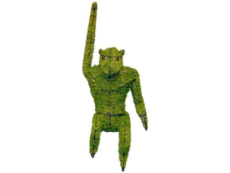 BACHO Topiary – About & FAQs