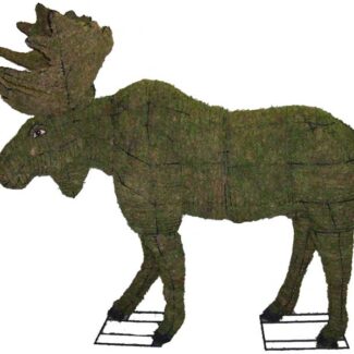 Moose, 60 inch (Mossed) 60 inch x 66 inch x 37 inch