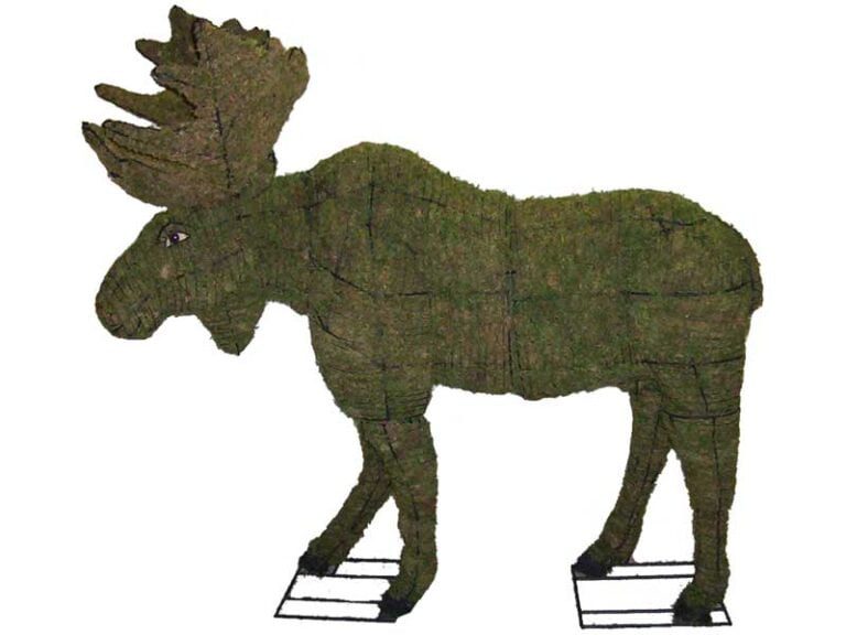 What Type of Foliages Should be Used for Topiaries