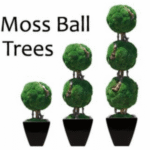 Stock graphic of three ball-shaped green plants in black pots, captioned 'Moss Ball Trees,' in ascending sizes
