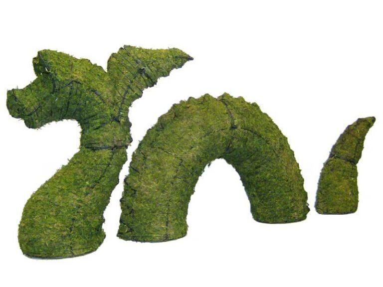 BACHO Topiary – About & FAQs