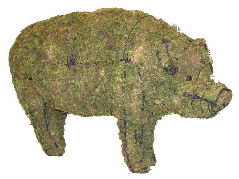 BACHO Topiary – About & FAQs