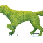 Moss-covered pointer dog topiary in a pointing stance, standing on wire base supports