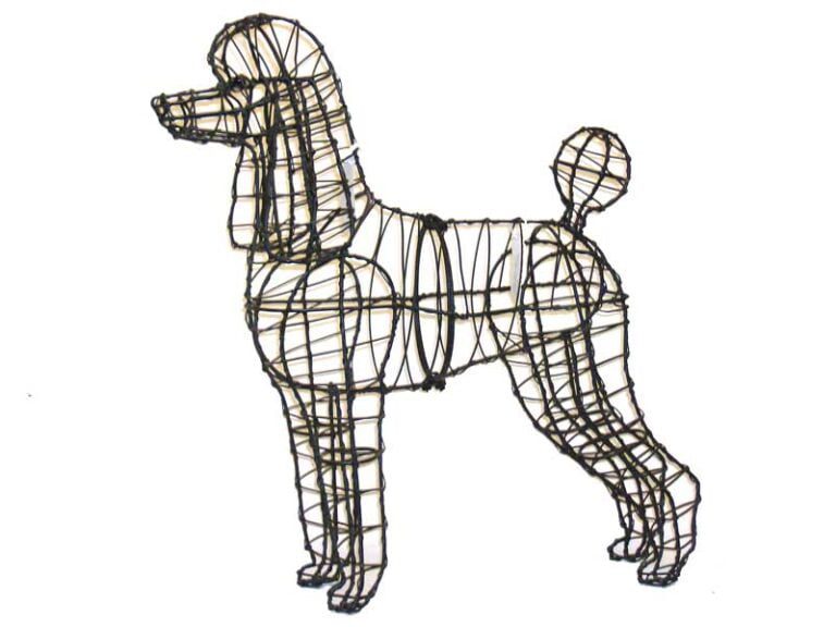 BACHO Topiary – About & FAQs