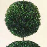 Preserved boxwood topiary with a cone top over two stacked spheres, plain background