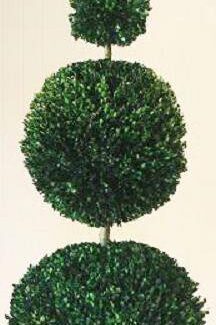 72 inch   Boxwood Double Ball Cone Topiary | TOPIARYTREE.NET