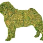 Moss-covered pug topiary in a standing side profile, wire outline visible along the body