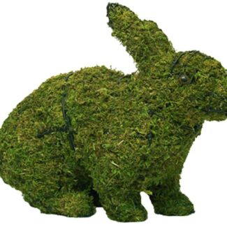 Rabbit, Hopping, 20 inch (Mossed) 20 inch x 26 inch x 10 inch | TOPIARYTREE.NET