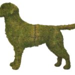 Moss-covered wire-frame topiary shaped like a standing Labrador retriever, seen in side profile.