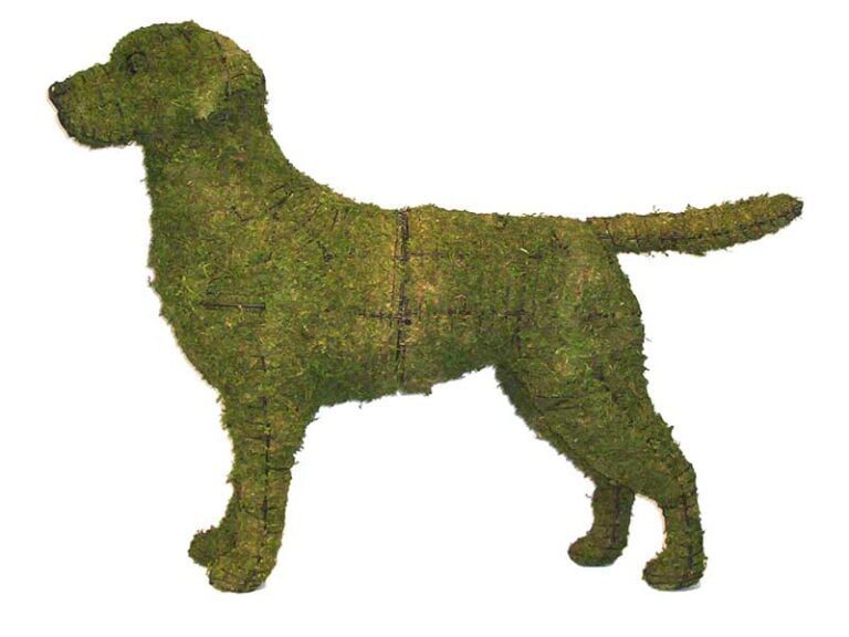 ✨ Bring Your Outdoor Topiary Back (Swan Example) to Life with Professional Refurbishing Restoration