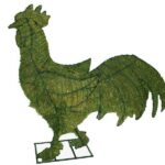 Mossed wire-frame rooster topiary on a small metal base, upright comb and curled tail feathers, white background
