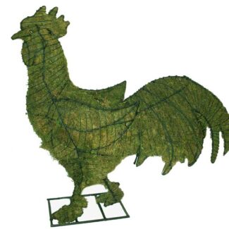 Rooster, 29 inch (Mossed) 29 inch x 29 inch x 10 inch | TOPIARYTREE.NET