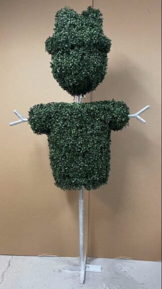 A boxwood scarecrow topiary indoors on a pole stand, with a round head and branch-style arms, against a tan wall.