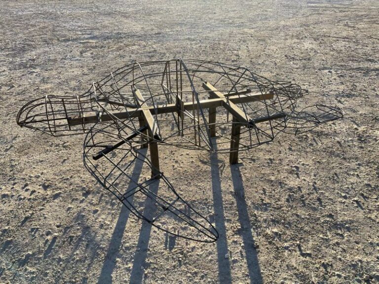 Unpainted welded wire turtle topiary frame resting on bare dirt