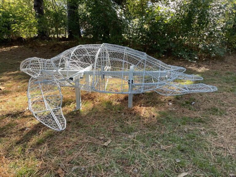 Galvanized wire mesh turtle topiary frame set on grass in front of trees