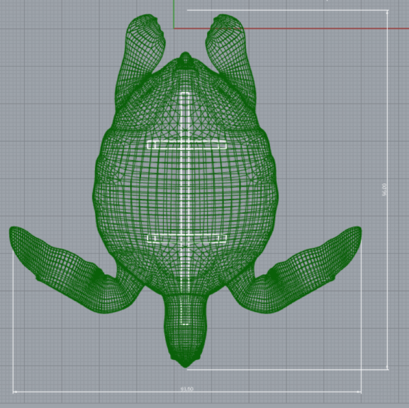 CAD top-view line drawing of a sea turtle topiary outline with dimensions