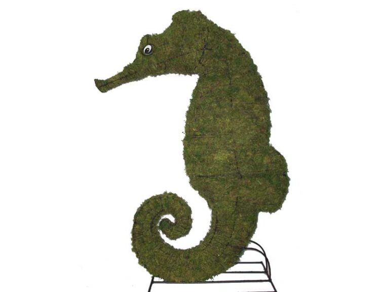 How to Choose the Best Live Boxwood Topiary for Your Home or Garden