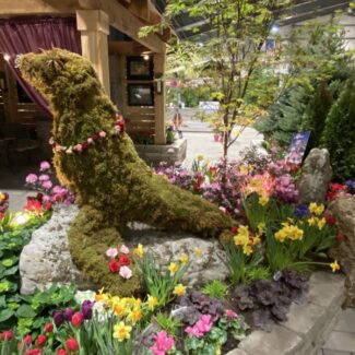 Topiary Seals | TOPIARYTREE.NET