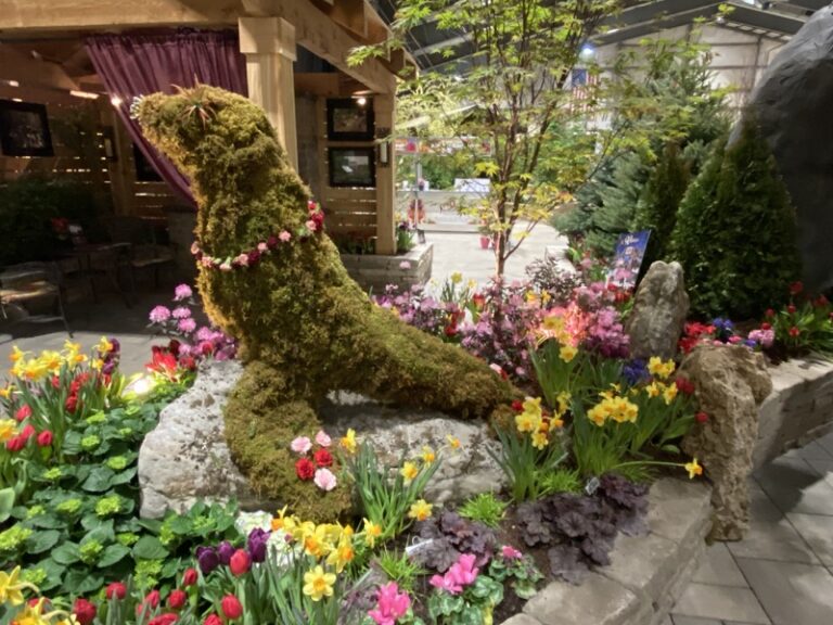 Moss seal topiary on a rock base surrounded by tulips, daffodils and pink flowers indoors