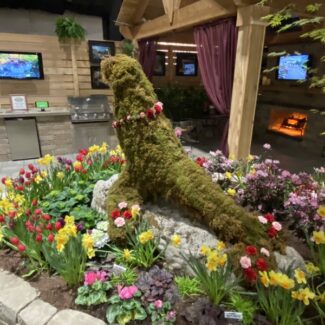 Topiary Seals | TOPIARYTREE.NET