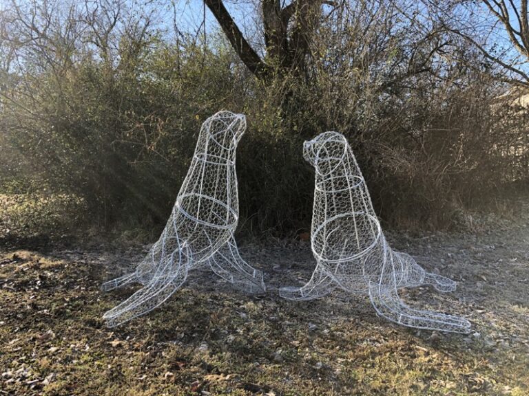 Two bare wire seal topiary frames sitting outdoors on grass before moss is applied