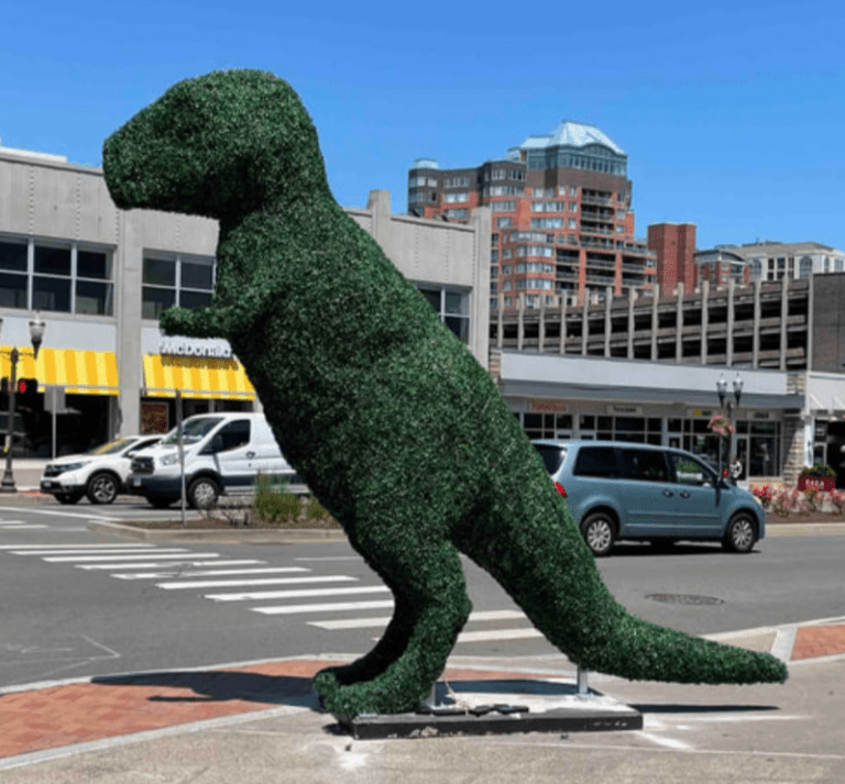 BACHO Topiary – About & FAQs