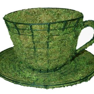 Teacup & Saucer, 6 inch (Mossed) 6 inch x 12 inch x 12 inch | TOPIARYTREE.NET