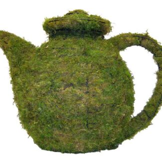 Teapot, 8 inch (Mossed) 8 inch x 13 inch x 6 inch | TOPIARYTREE.NET