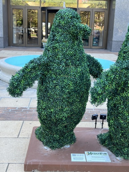 Close-up of a boxwood-covered penguin topiary outdoors, with a small sign at its base.