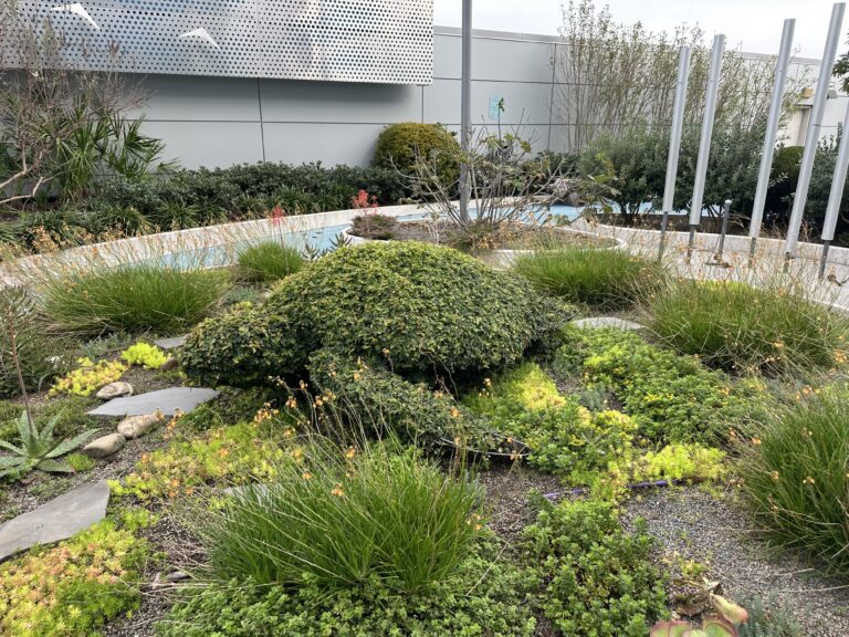 How We Preserve Live Topiary Foliages @ TOPIARYTREE.NET