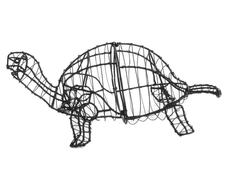 BACHO Topiary – About & FAQs